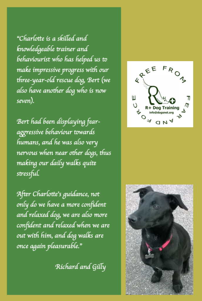 Rescue Dog R+ Dog Training Testimonial