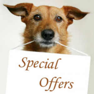 Special Offers For Your Dog