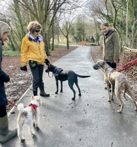 Social Dog Walks in W/SW London