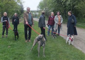 Social dog walks in W/SW London